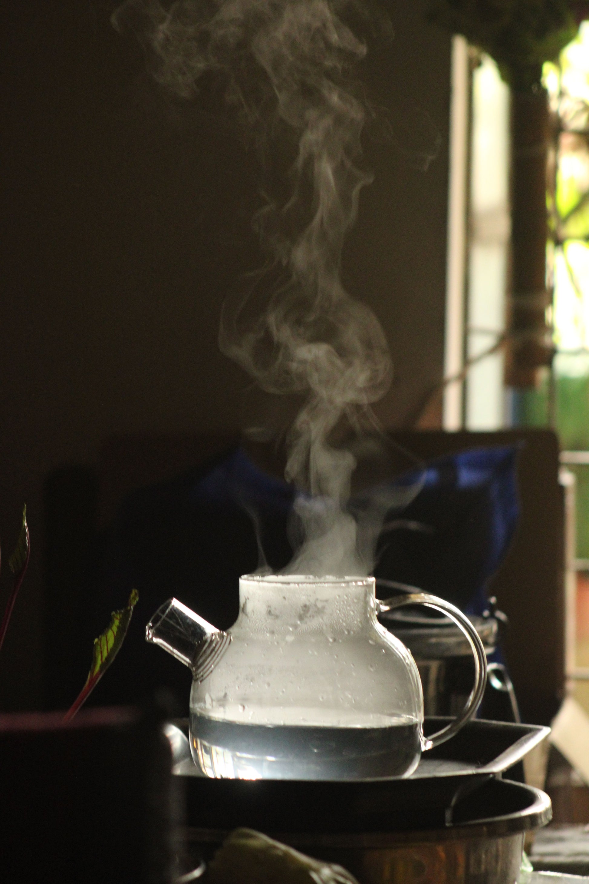 Steam rising through deep shadow, Eynsham Baths at Estelle Manor