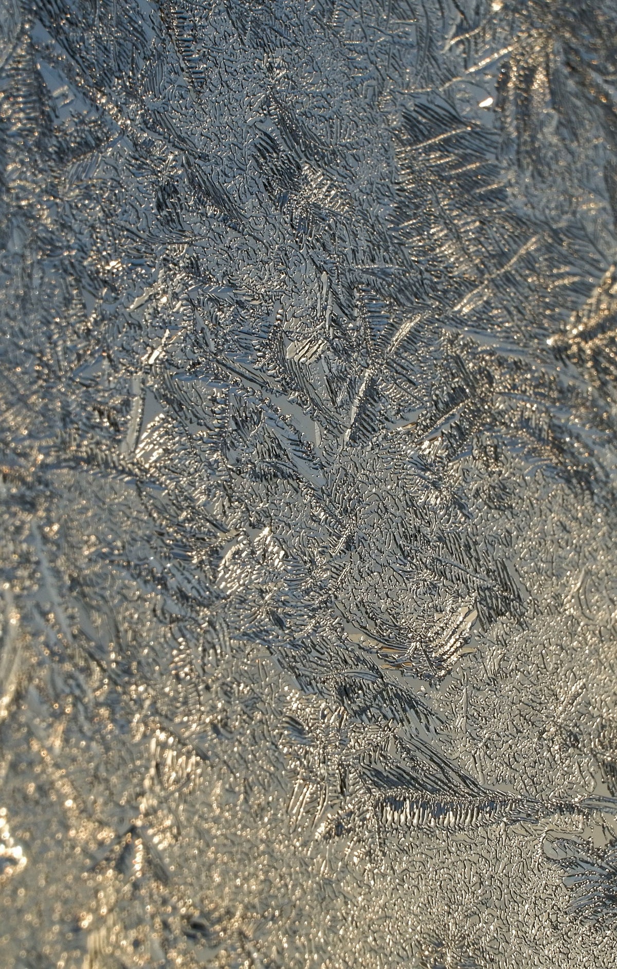 Close detail of frost crystals on glass, lit by low winter sun