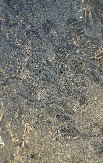 Close detail of frost crystals on glass, lit by low winter sun