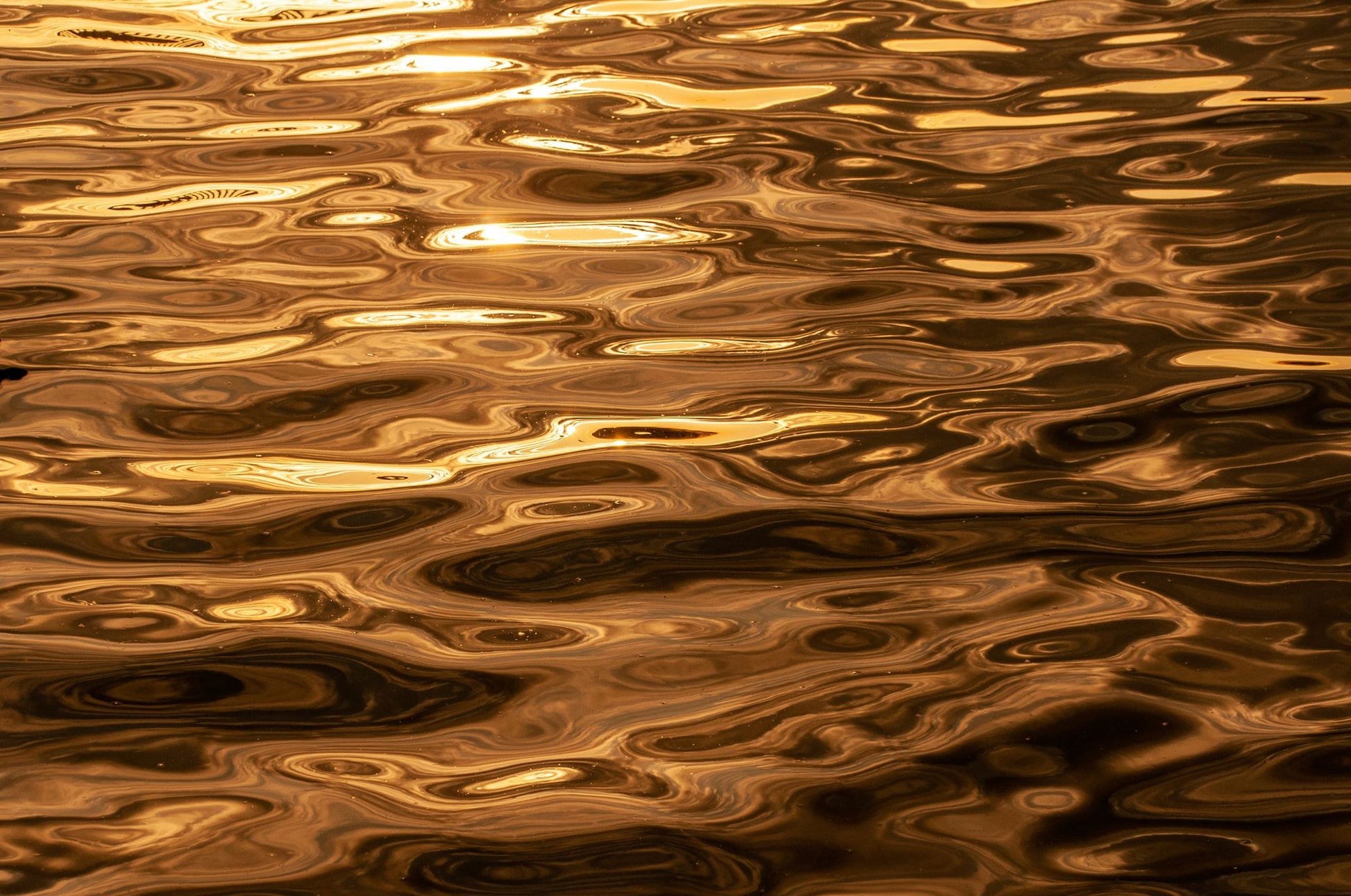 Warm gold light rippling across water, evoking sunlight on the skylit pond at Arlington Baths Club