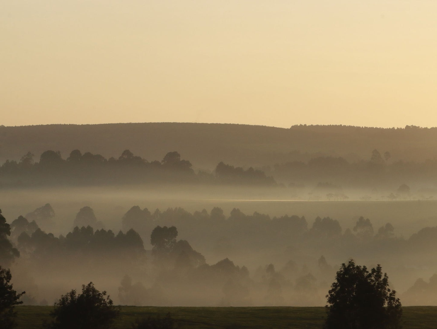 Misty sunrise over rolling wooded hills, evoking the valley views above Combe Grove near Bath