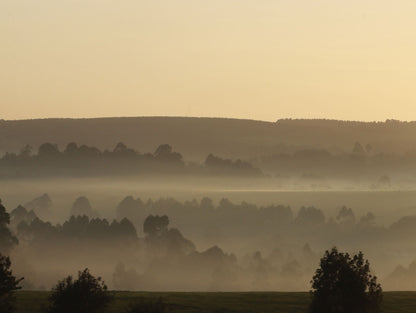 Misty sunrise over rolling wooded hills, evoking the valley views above Combe Grove near Bath