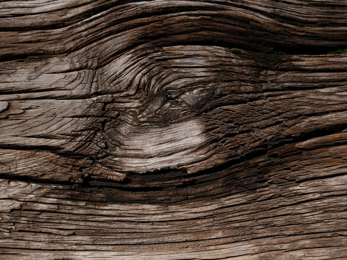 Close detail of deeply grained, weathered oak, The Bothy by Wildsmith at Heckfield Place