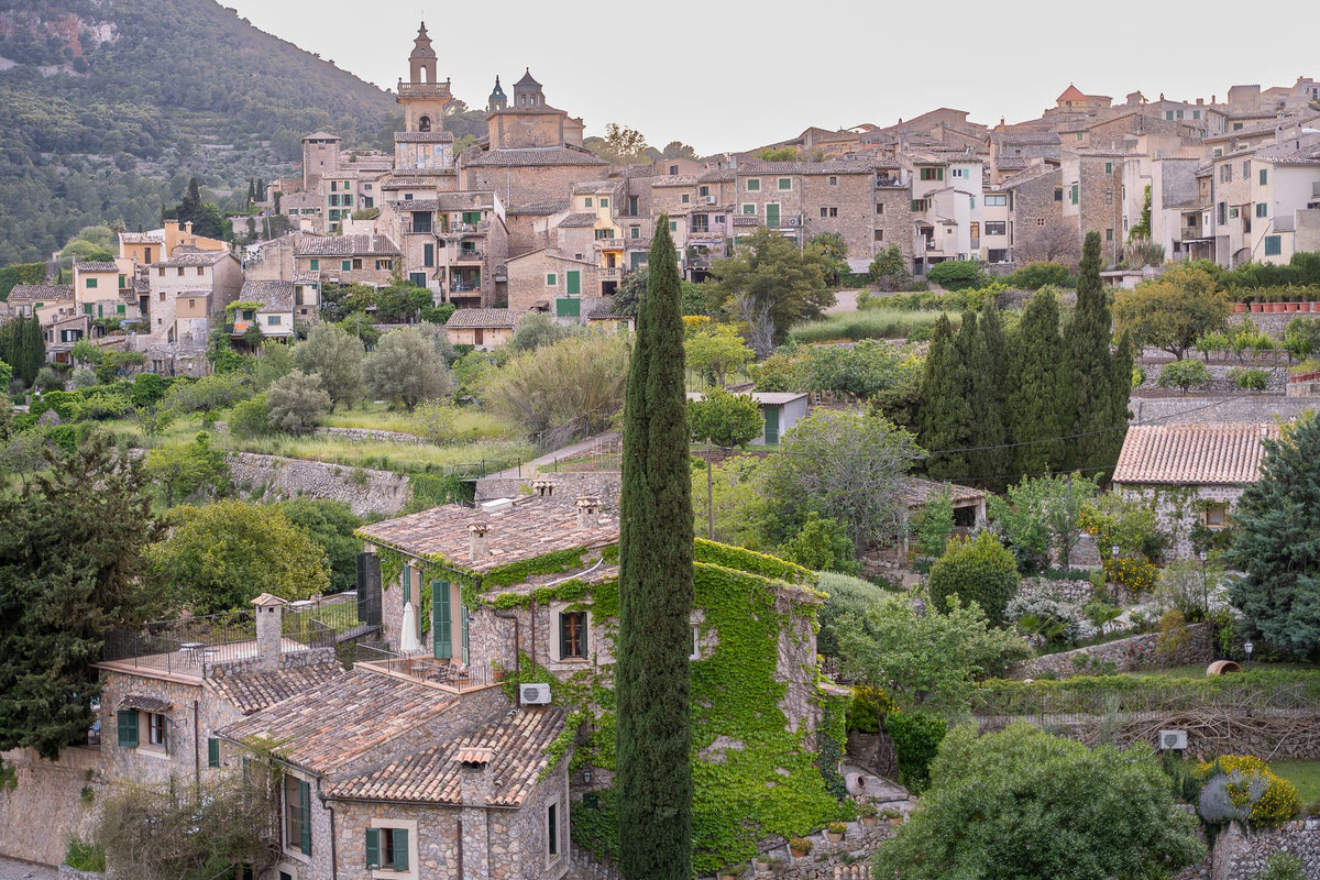 A terraced hillside village with cypress trees, evoking the gardens above Portofino Bay