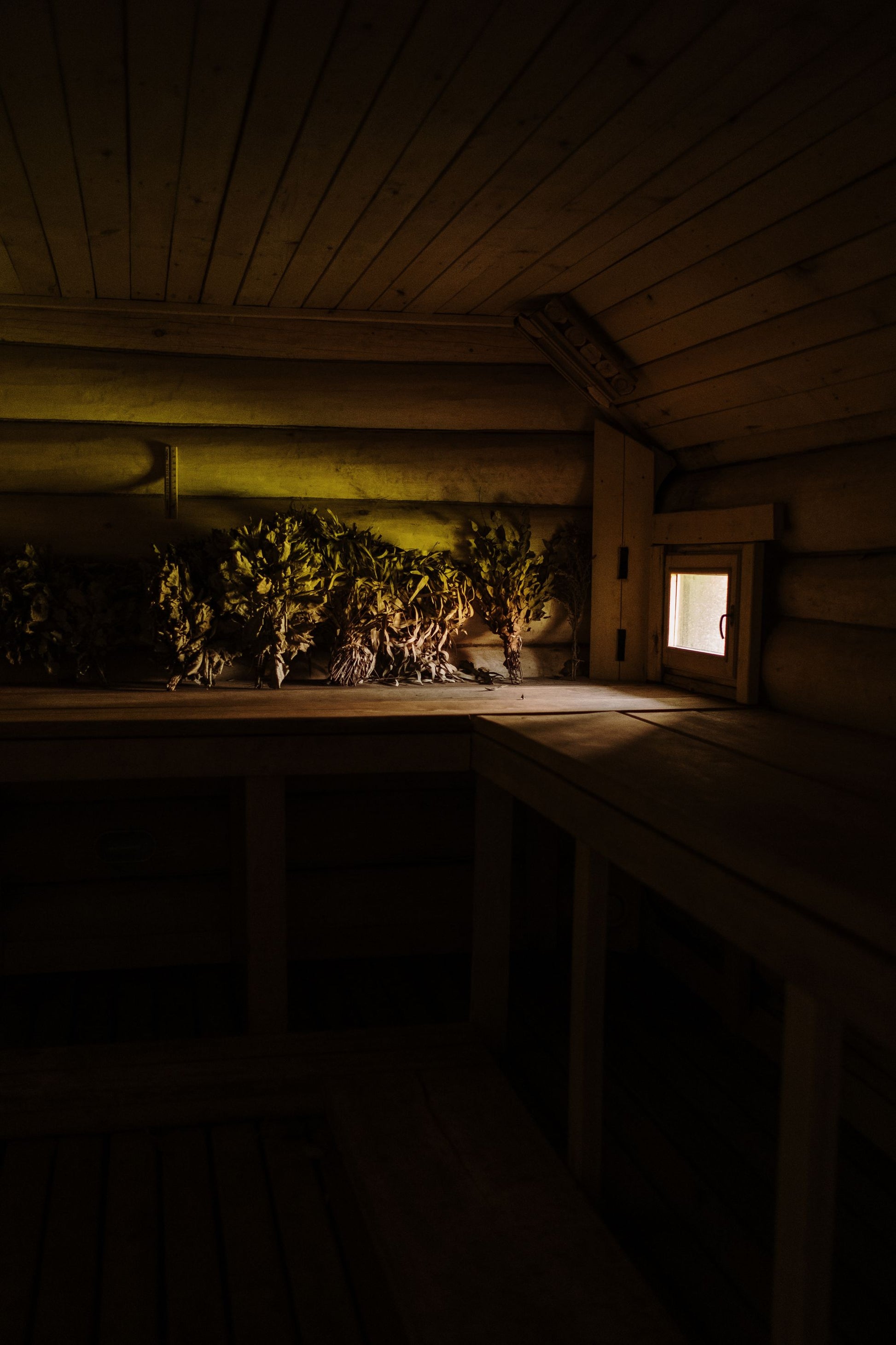Bundles of dried herbs hanging in a dark timber sauna, lit by one small window.