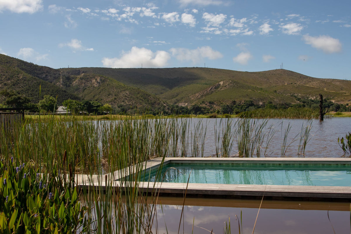 A natural swimming pool with reeds set among green rolling hills under a blue sky