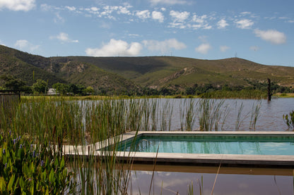A natural swimming pool with reeds set among green rolling hills under a blue sky