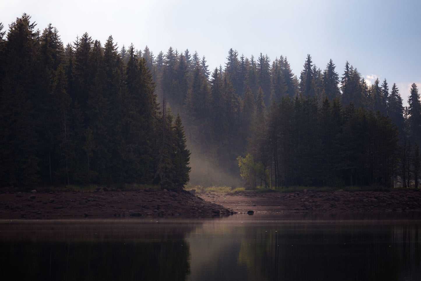 Morning mist rising off a still woodland lake, the kind of hush that settles over Monart before the thermal suite opens.