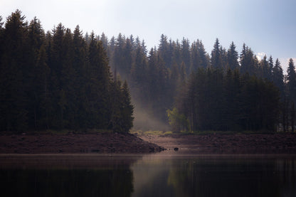 Morning mist rising off a still woodland lake, the kind of hush that settles over Monart before the thermal suite opens.