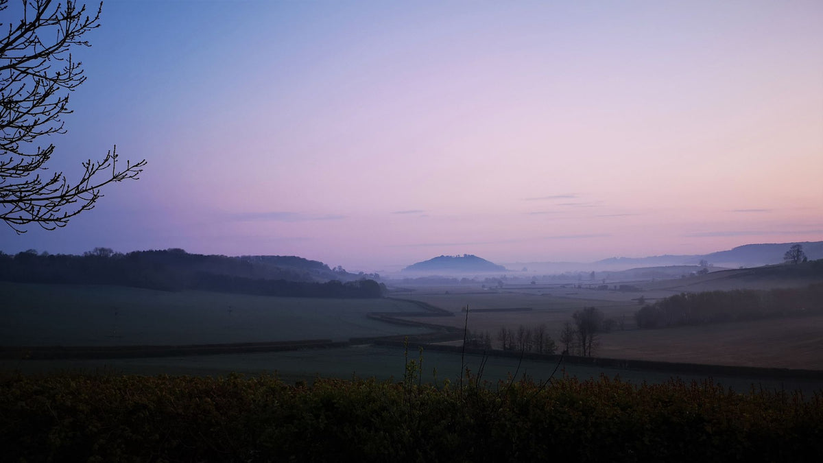 Mist settling over the countryside at dawn