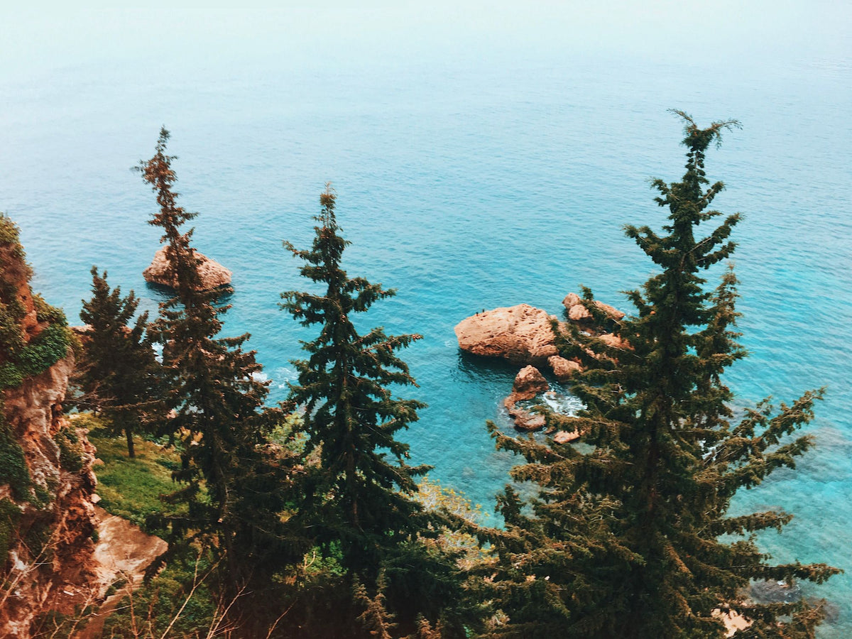 Pine trees framing a turquoise Mediterranean cove with pale rocks rising from the clear water, evoking the Riviera setting of Grand-Hôtel du Cap-Ferrat
