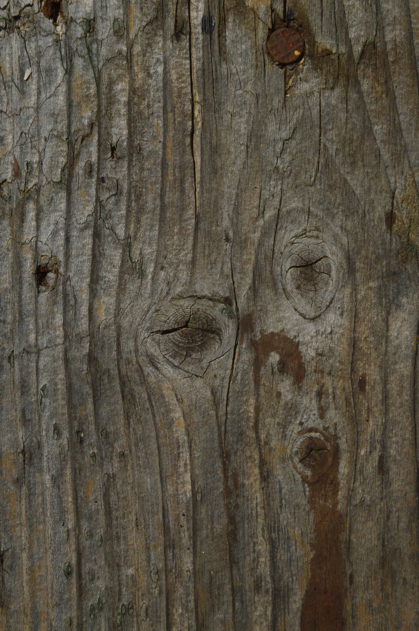 Weathered coastal wood grain detail at Carne Bay Spa at The Nare