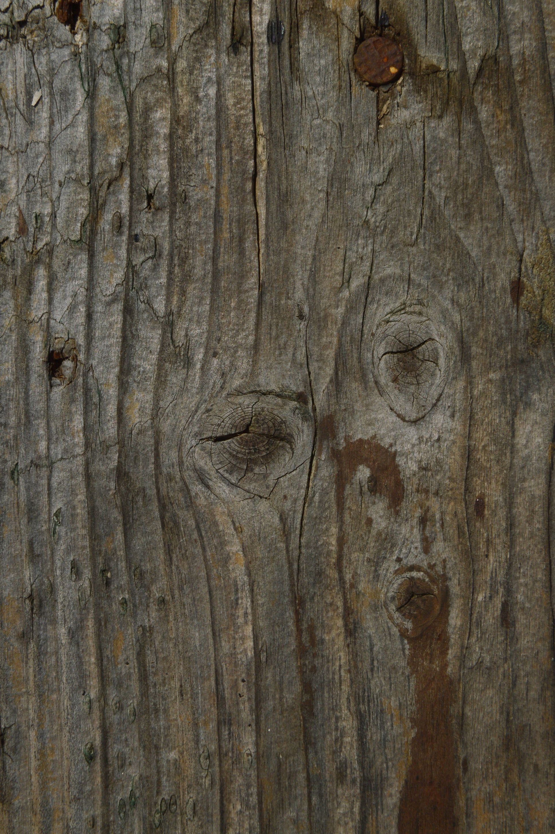 Weathered coastal wood grain detail at Carne Bay Spa at The Nare