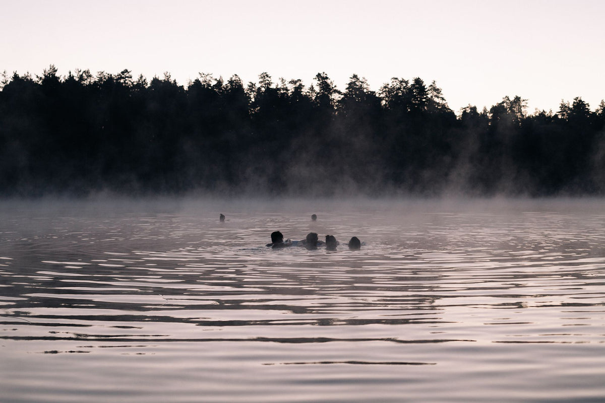 Swimmers move through a misty lake at dawn, the far shore lost in fog.