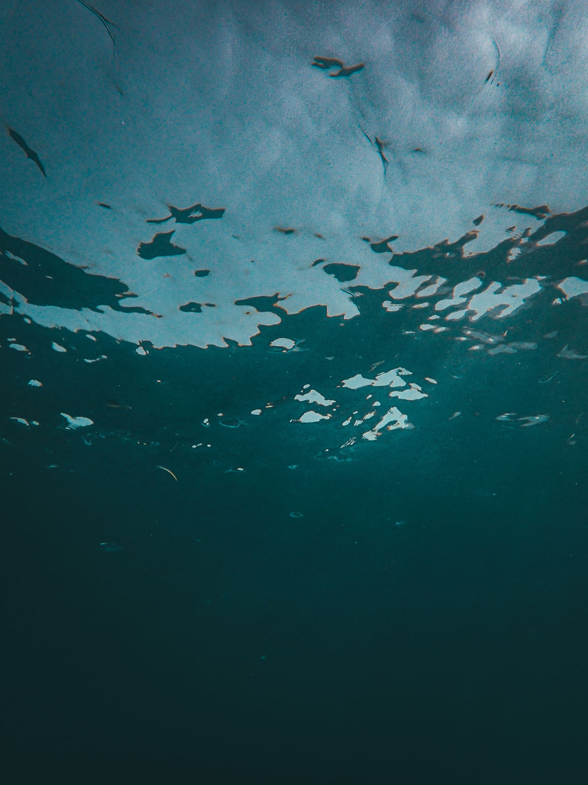 A dark body of cold water seen from below the surface