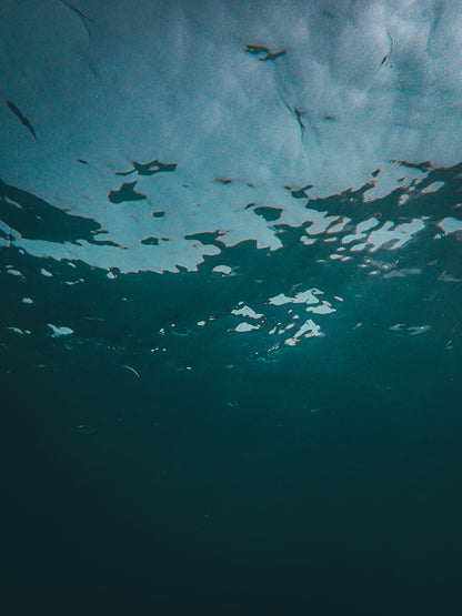A dark body of cold water seen from below the surface