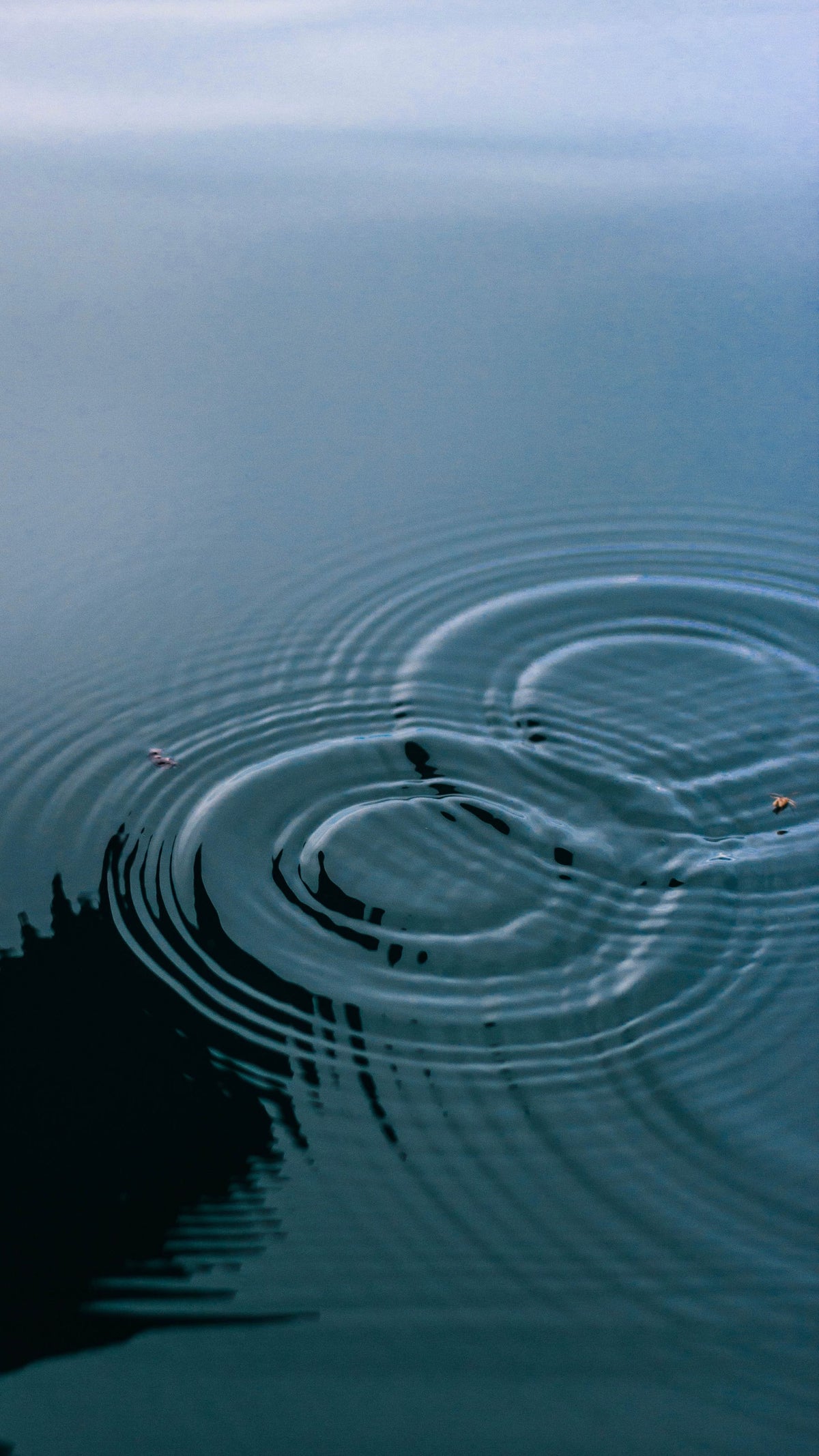 Concentric ripples spreading across cool teal water, evoking an indoor pool filled from a well on a Castilla y León wine estate