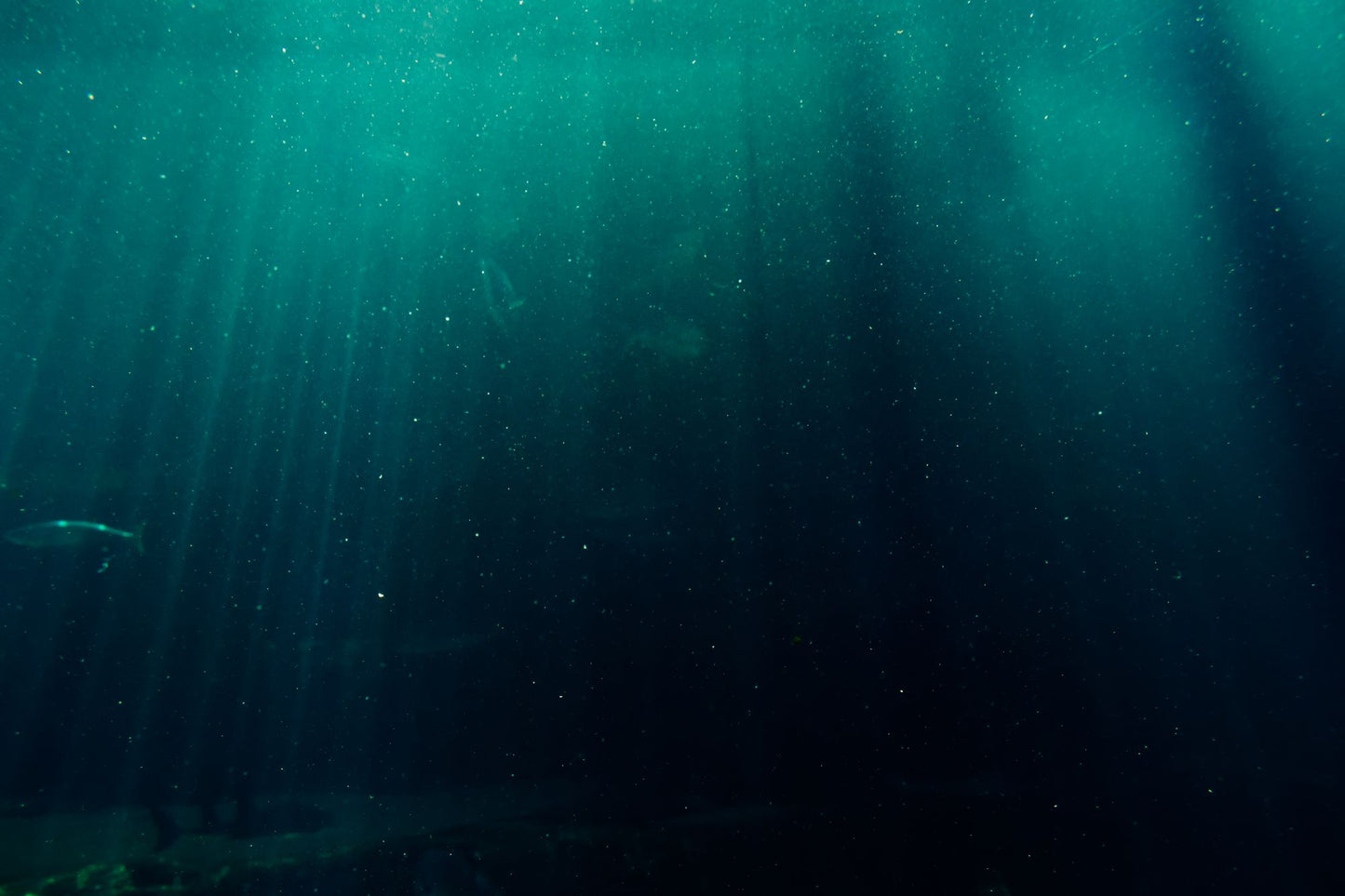 Pale shafts of light falling through deep green water, the feeling of the double height pool chamber at The Peninsula Spa