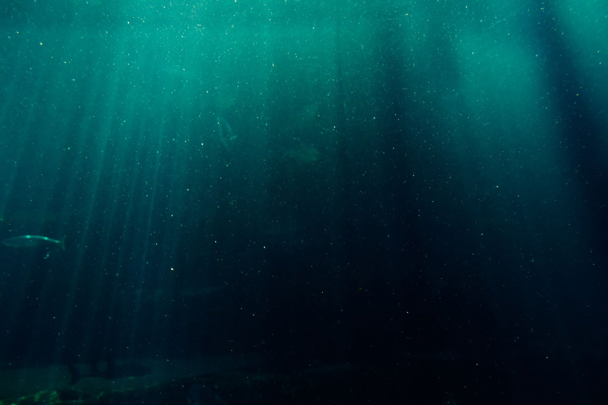 Pale shafts of light falling through deep green water, the feeling of the double height pool chamber at The Peninsula Spa