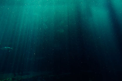 Pale shafts of light falling through deep green water, the feeling of the double height pool chamber at The Peninsula Spa